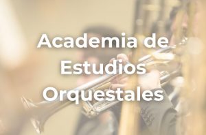 academia-estudios-orquestales
